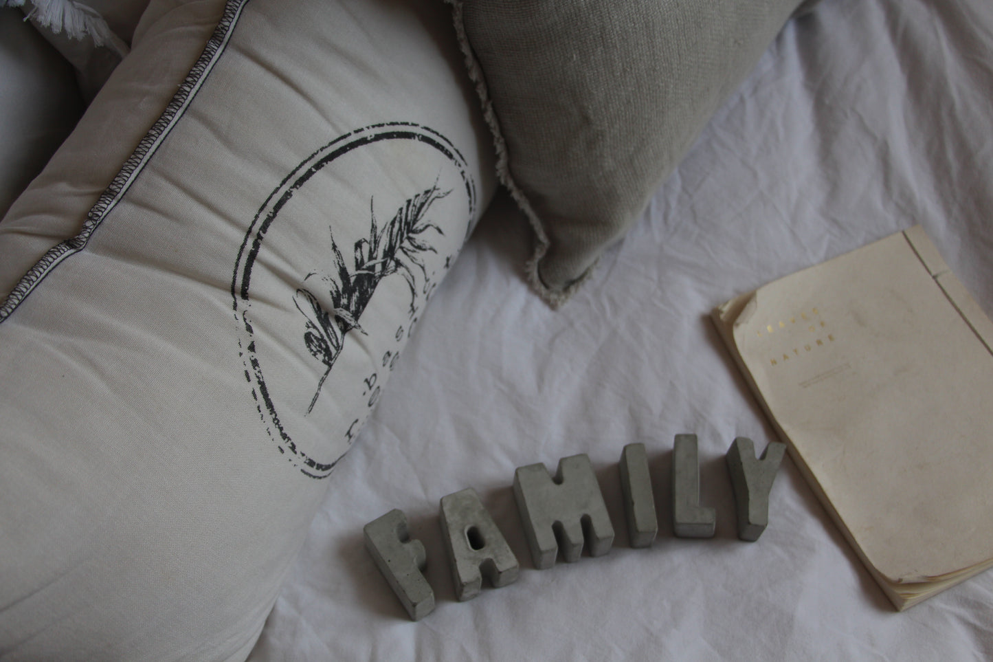 אותיות בכיתוב - FAMILY