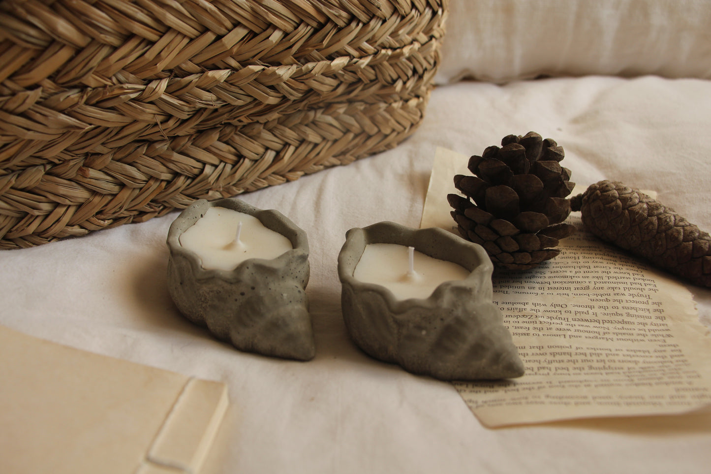 נר צדף אפור - דגם אריאל