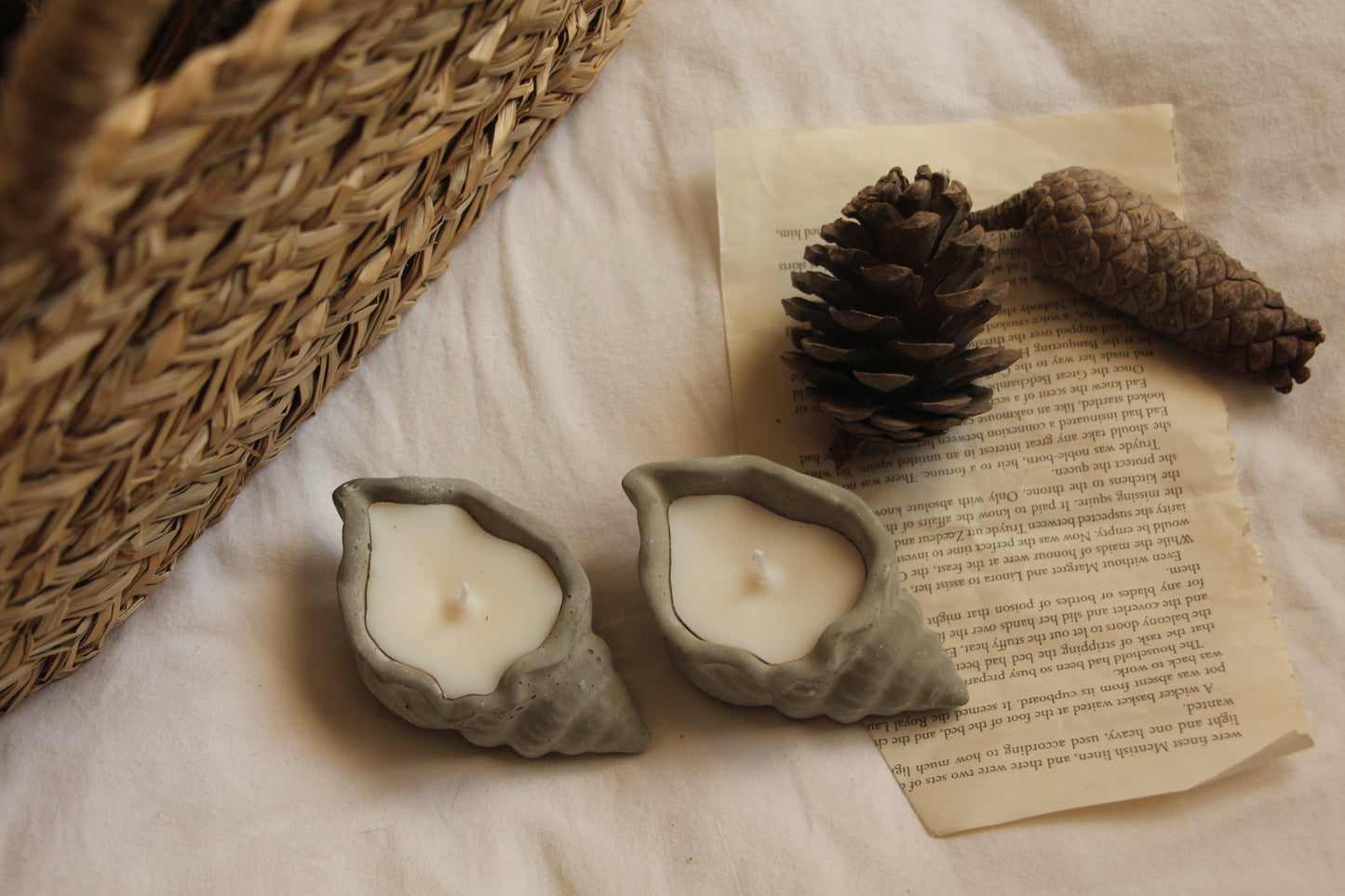 נר צדף אפור - דגם אריאל